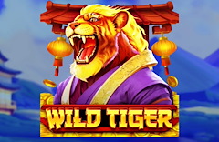 Wild Tiger