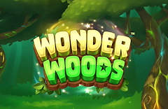 Wonder Woods