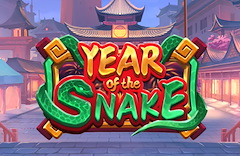 Year of The Snake