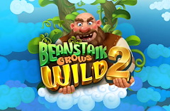 Beanstalk Grows Wild 2