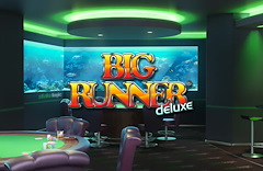Big Runner Deluxe