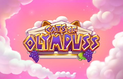 Cats of Olympuss