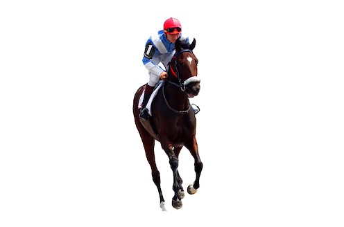 Instant Horses