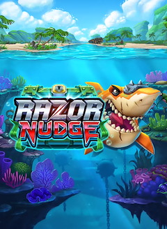 Razor Nudge