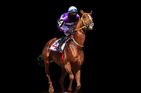 Horse Races