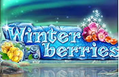 Winterberries
