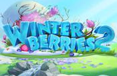 Winterberries 2