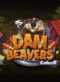 Dam Beavers