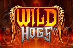 Wild Hogs