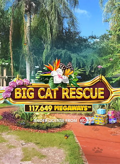 Big Cat Rescue MegaWays
