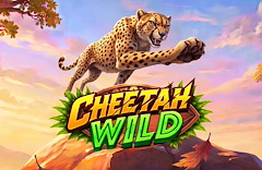 Cheetah Wild