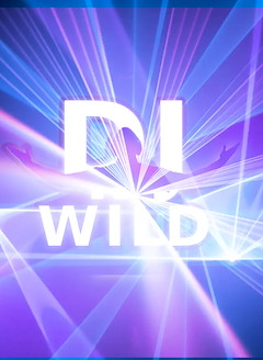DJ Wild