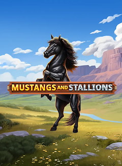 Mustangs And Stallions
