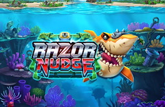 Razor Nudge
