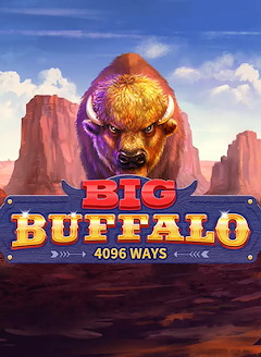 Big Buffalo