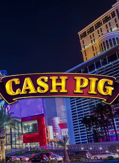 Cash Pig