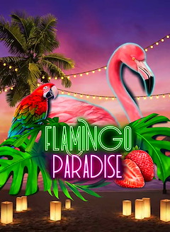 Flamingo Paradise