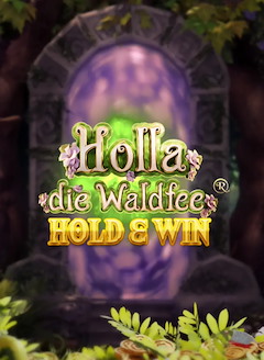 Holla die Waldfee Hold & Win