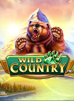 Wild Country