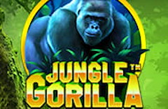 Jungle Gorilla