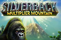 Silverback