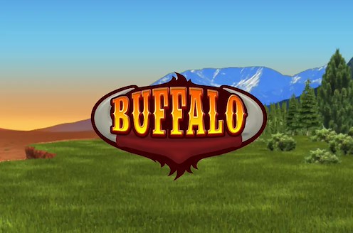 Video Bingo - Buffalo