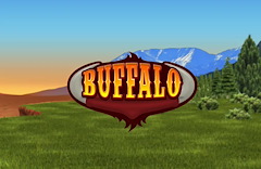Video Bingo - Buffalo