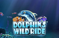 Dolphin's Wild Ride