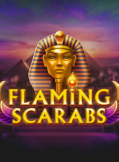 Flaming Scarabs