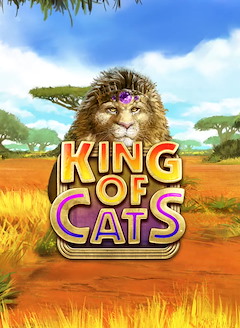 King of Cats