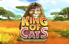 King of Cats