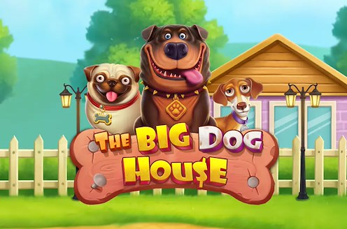 The Big Dog House