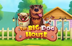 The Big Dog House