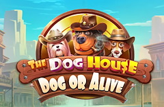 The Dog House – Dog or Alive