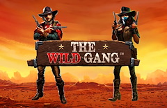 The Wild Gang