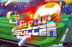 WILD Cup Soccer