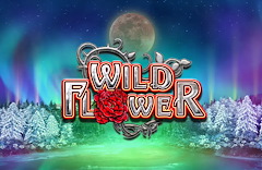 Wild Flower
