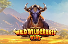 Wild Wildebeest Wins