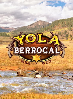 Yola Berrocal